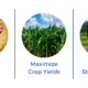 Protect Crops with FP Seed Boxes